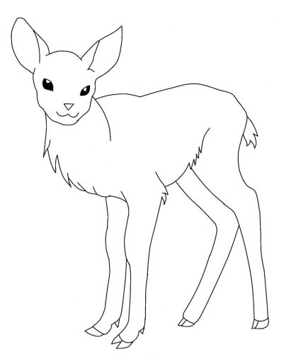 401x500 Coloring Pages ~ Deer Coloring Pages Baby Sheets Deer Coloring