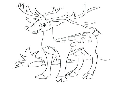 Deer Coloring Pages Shared By Deer Coloring Pages Free Printable 476x333 Deer Coloring Pages Shared By Deer Coloring Pages Free Printable