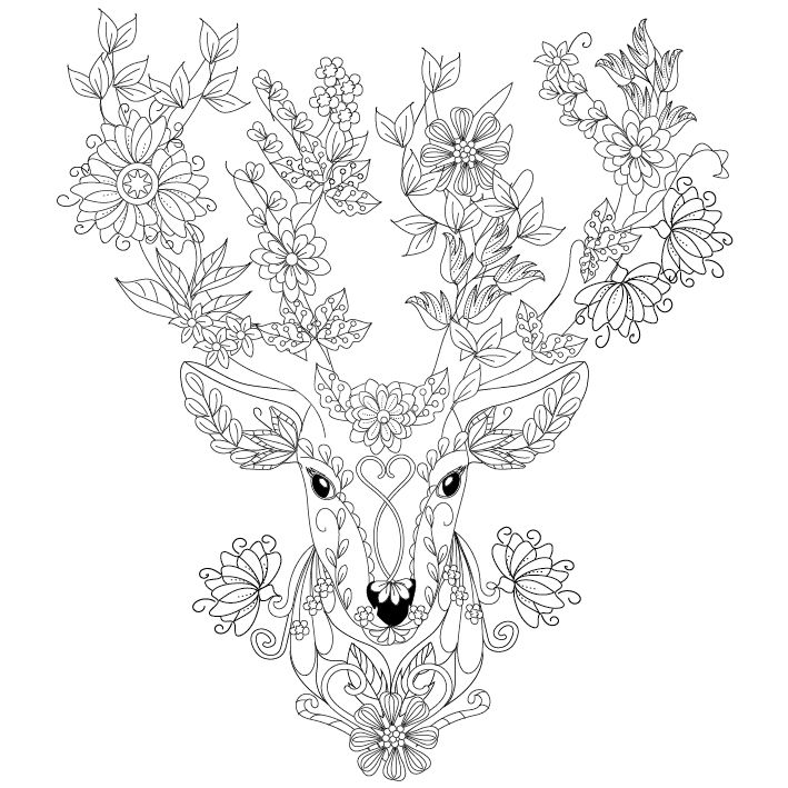 Deer Coloring Page Design Ms Tattoos ( Adult 709x709 Deer Coloring Page Design Ms Tattoos ( Adult