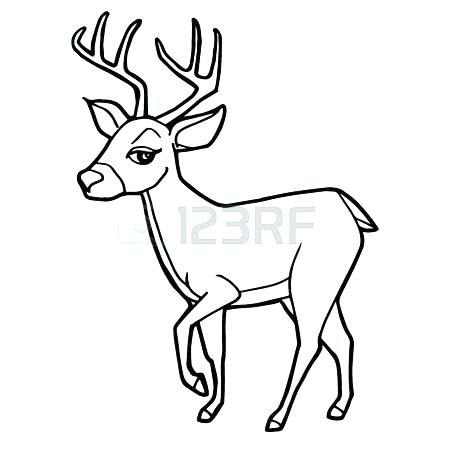 Mother And Baby Deer Coloring Pages Deer Coloring Picture Cartoon 450x450 Mother And Baby Deer Coloring Pages Deer Coloring Picture Cartoon