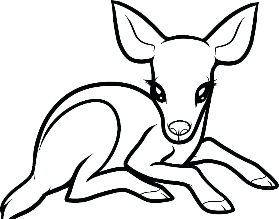 Deer Printable Coloring Pages 975x768 Deer Printable Coloring Pages