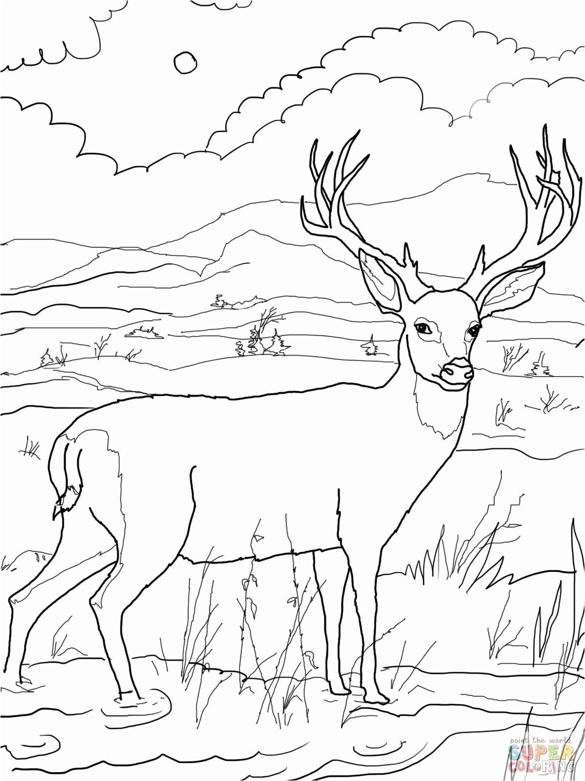 Deer Coloring Pages ~ Cool Coloring Pages 1200x1600 Deer Coloring Pages ~ Cool Coloring Pages