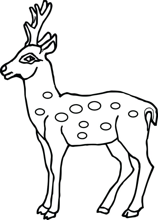 Deer Printable Kids Colouring Baby Reindeer Coloring Pages Page 618x863 Deer Printable Kids Colouring Baby Reindeer Coloring Pages Page