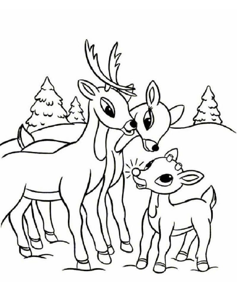 Rudolph Family Coloring Page Christmas Coloring Pagesworksheets 800x1034 Rudolph Family Coloring Page Christmas Coloring Pagesworksheets