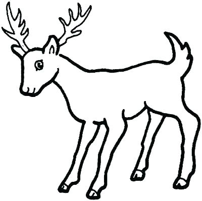 Deer Coloring Pages 400x398 Deer Coloring Pages
