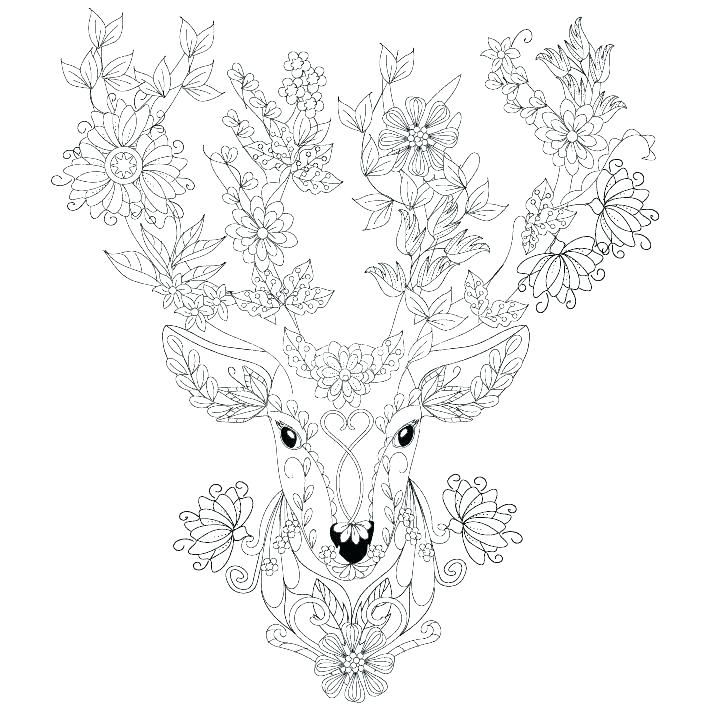 709x709 Deer Hunting Coloring Pages White Tailed Deer Coloring Page Deer
