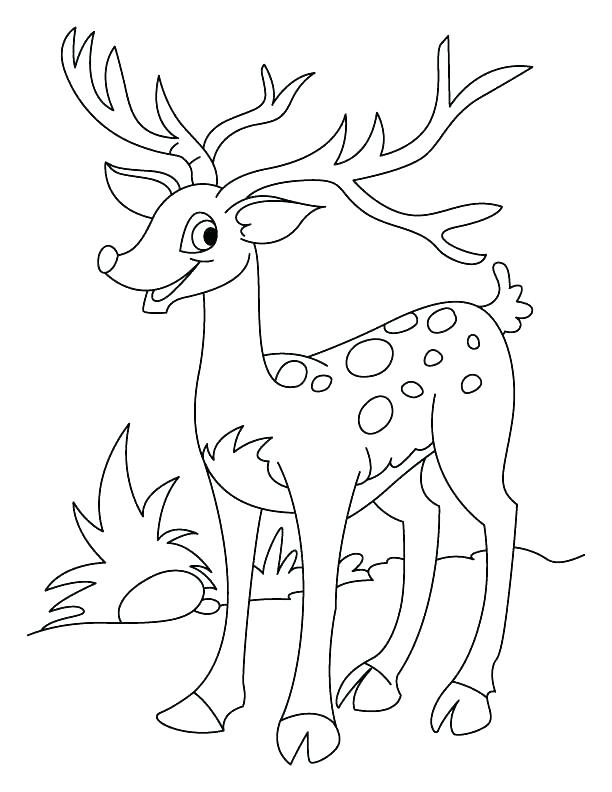 612x792 Baby Deer Coloring Pages John Combine Coloring Pictures Elegant Oh