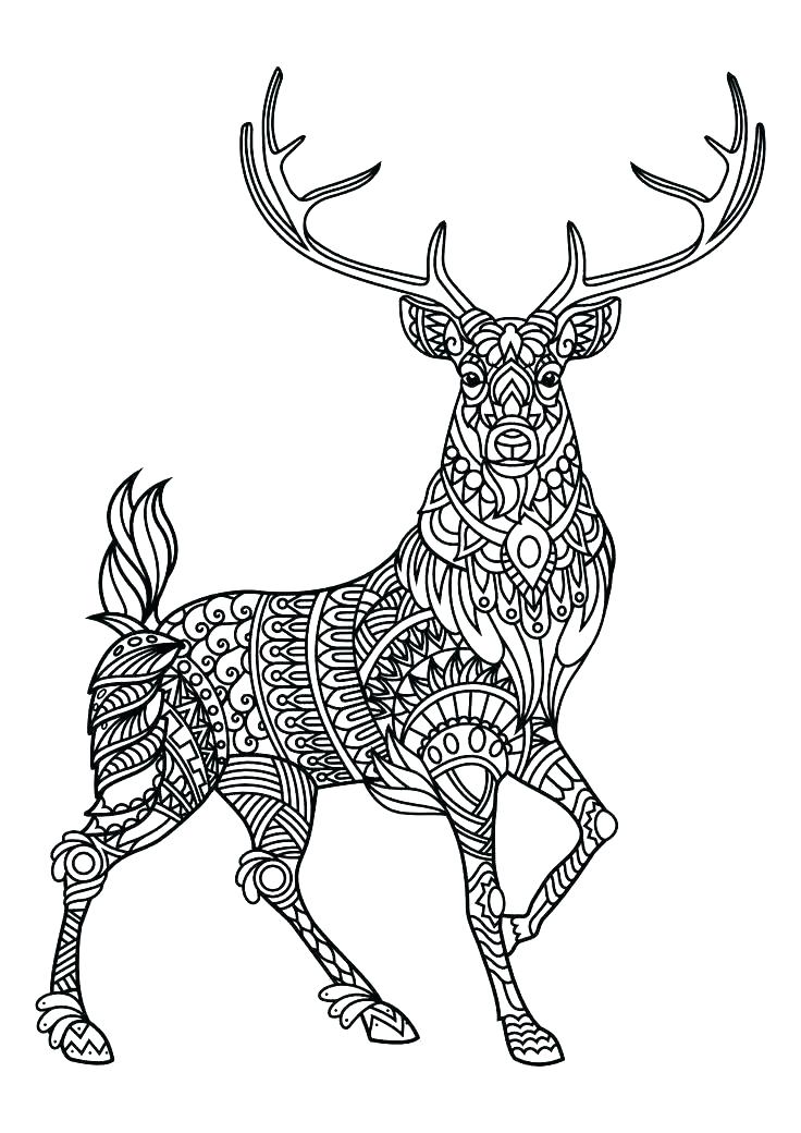 Deer Hunting Coloring Pages at GetColorings.com | Free printable ...