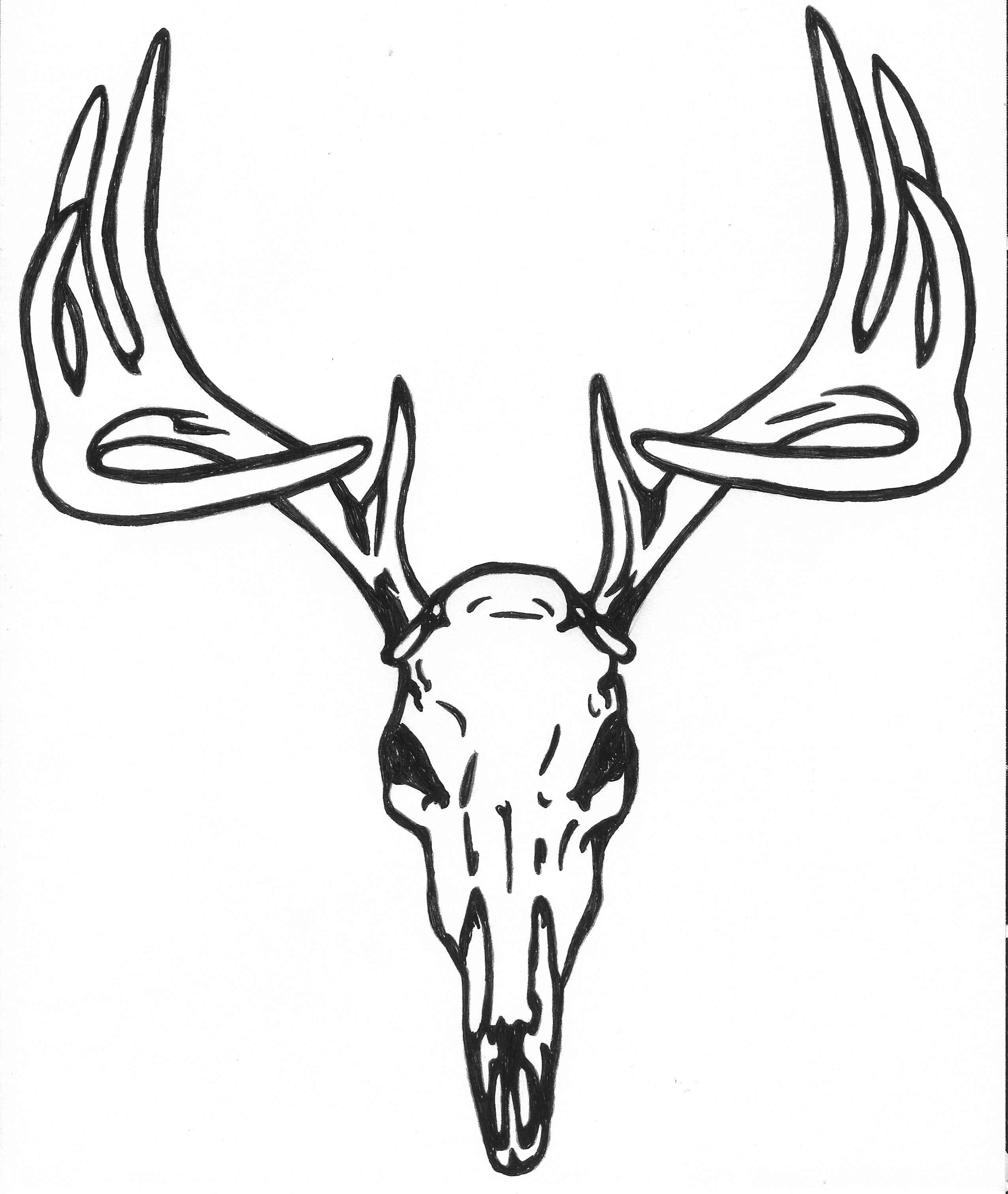 2552x3023 For Deer Skull Logo
