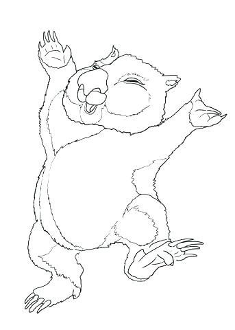 343x480 Wombat Coloring Page Mammals Wombats Ages 8 Under Wombat Divine