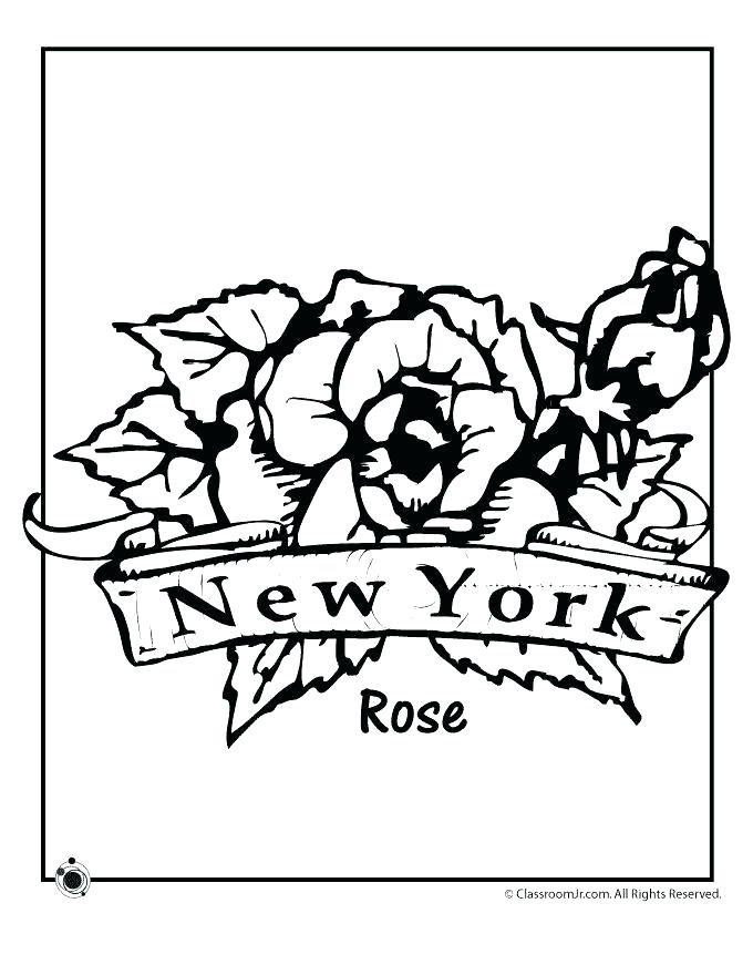 Delaware State Flower Coloring Page Professional 680x880 Delaware State Flower Coloring Page Professional