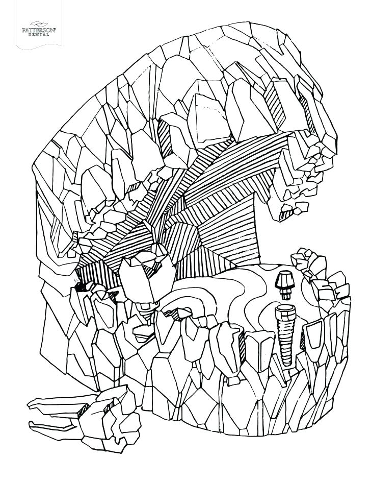 728x942 Dental Coloring Pages For Kids 88 And Tooth Dentist Coloring Pages