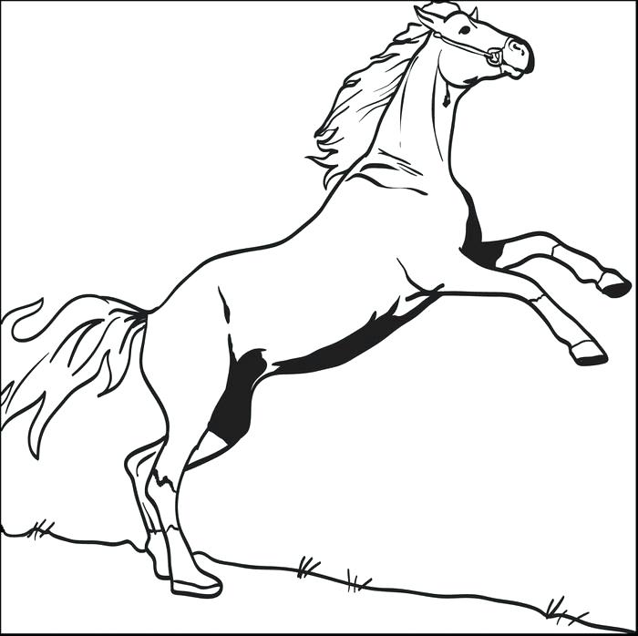 700x698 Horse Coloring Page Derby Horse Coloring Pages Animal Coloring