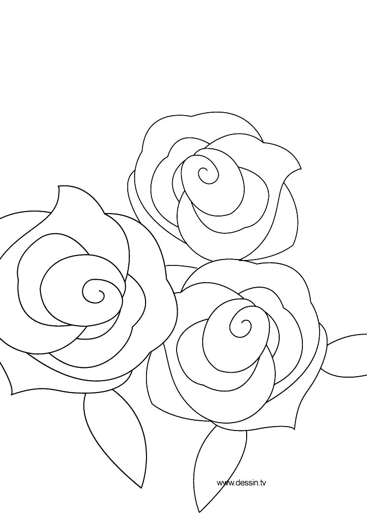 744x1052 Flower Border Rose Coloring Pages Derrick Rose Coloring Pages
