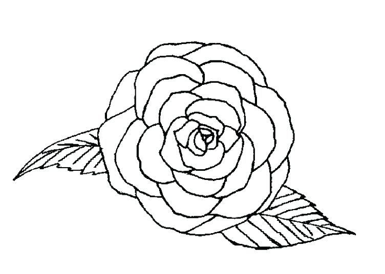 752x536 Rose Coloring Pages Nice Roses Coloring Pages Nice Design Gallery