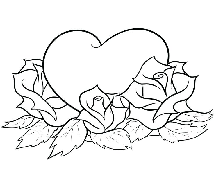736x620 Rose Coloring Pages Rose Coloring Page Skulls And Roses Coloring