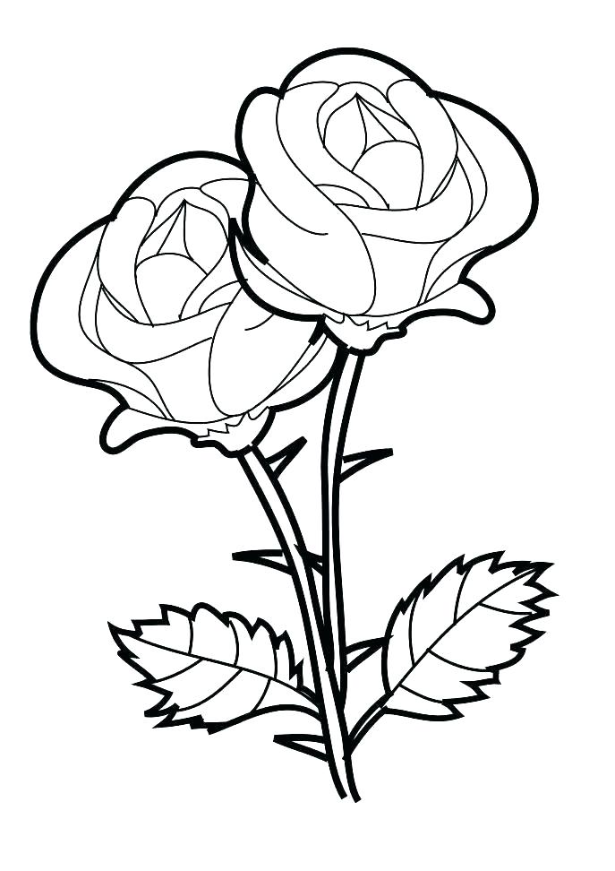 687x972 Roses Coloring Pages Rose Coloring Books As Well As Coloring Roses