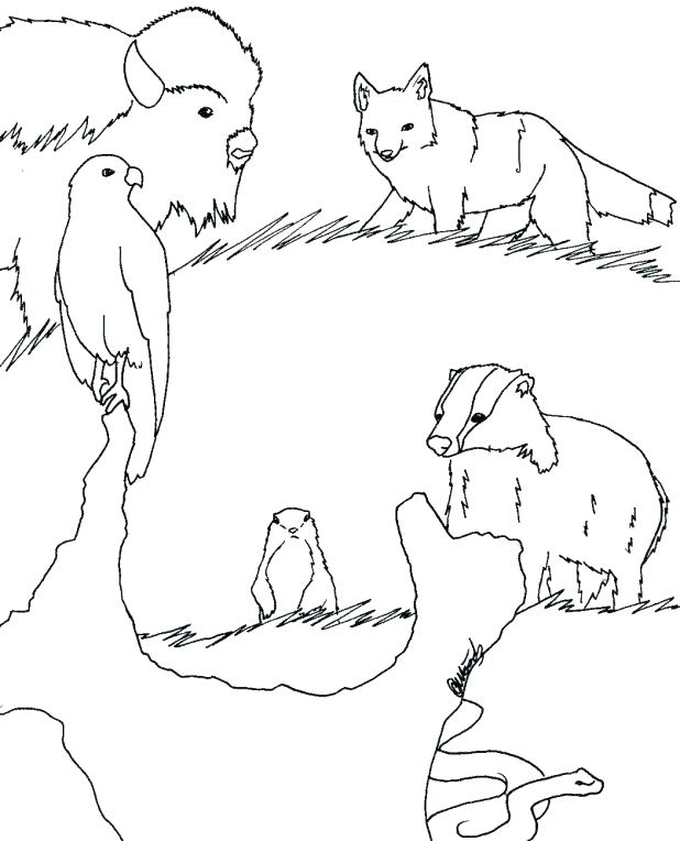 Fancy Design Desert Animal Coloring Pages Ostrich Runs Grassland 618x764 Fancy Design Desert Animal Coloring Pages Ostrich Runs Grassland