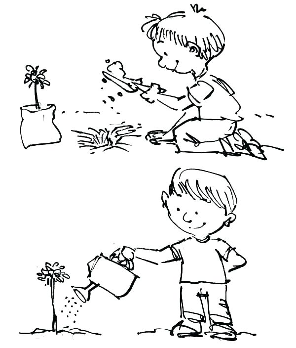 Plants Coloring Page Coloring Pages Trees Plants And Flowers As 600x704 Plants Coloring Page Coloring Pages Trees Plants And Flowers As