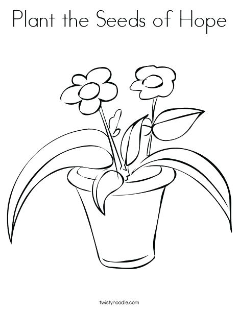 Coloring Pages Plants Coloring Pages Of Plants Fascinating Plant 468x605 Coloring Pages Plants Coloring Pages Of Plants Fascinating Plant