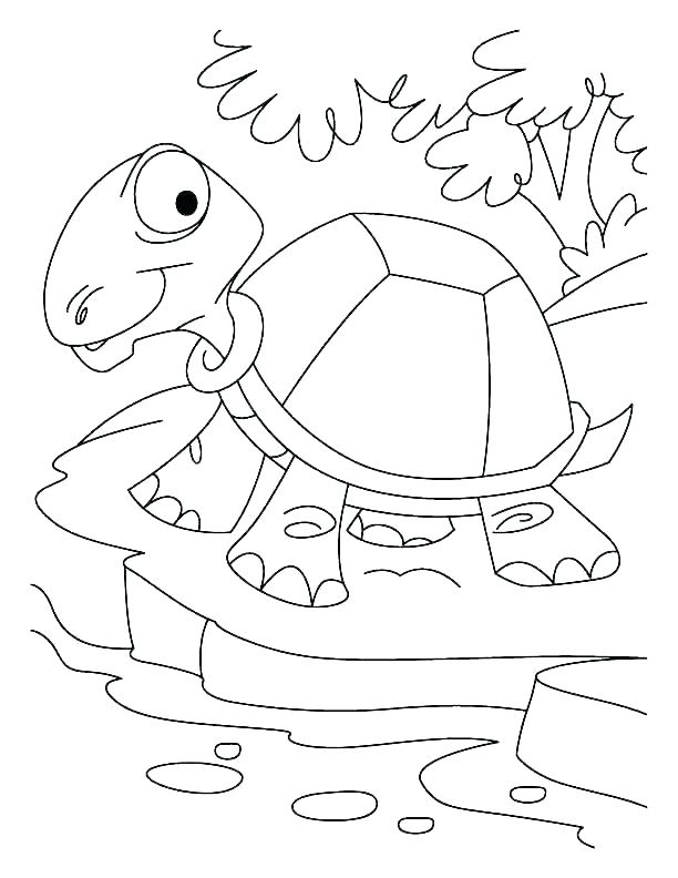 Desert Coloring Pages Desert Animals Coloring Page Free Printable 612x792 Desert Coloring Pages Desert Animals Coloring Page Free Printable