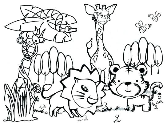 Sonoran Desert Animal Coloring Pages Animals Printable Jungle 543x409 Sonoran Desert Animal Coloring Pages Animals Printable Jungle