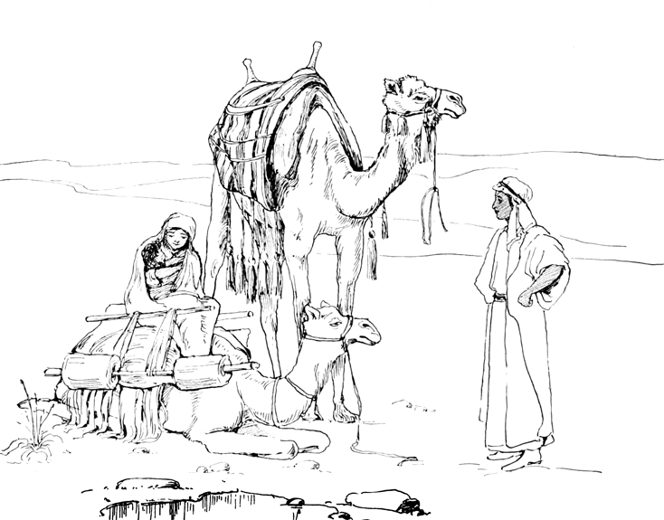 Desert Coloring Pages 734x575 Desert Coloring Pages