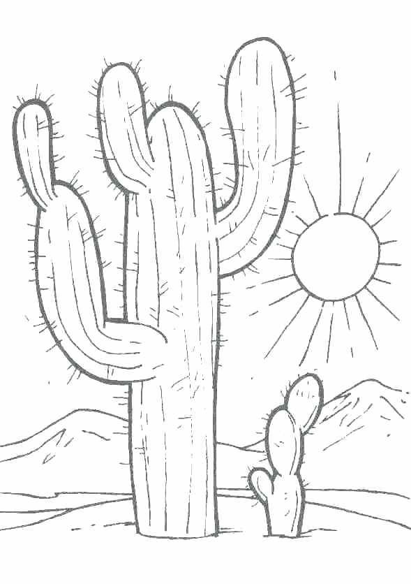 Desert Coloring Pages Desert Coloring Pages Desert Coloring Pages 589x836 Desert Coloring Pages Desert Coloring Pages Desert Coloring Pages