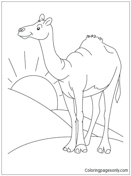 Desert Coloring Pages Desert Deserts Coloring Pages Desert Habitat 433x582 Desert Coloring Pages Desert Deserts Coloring Pages Desert Habitat