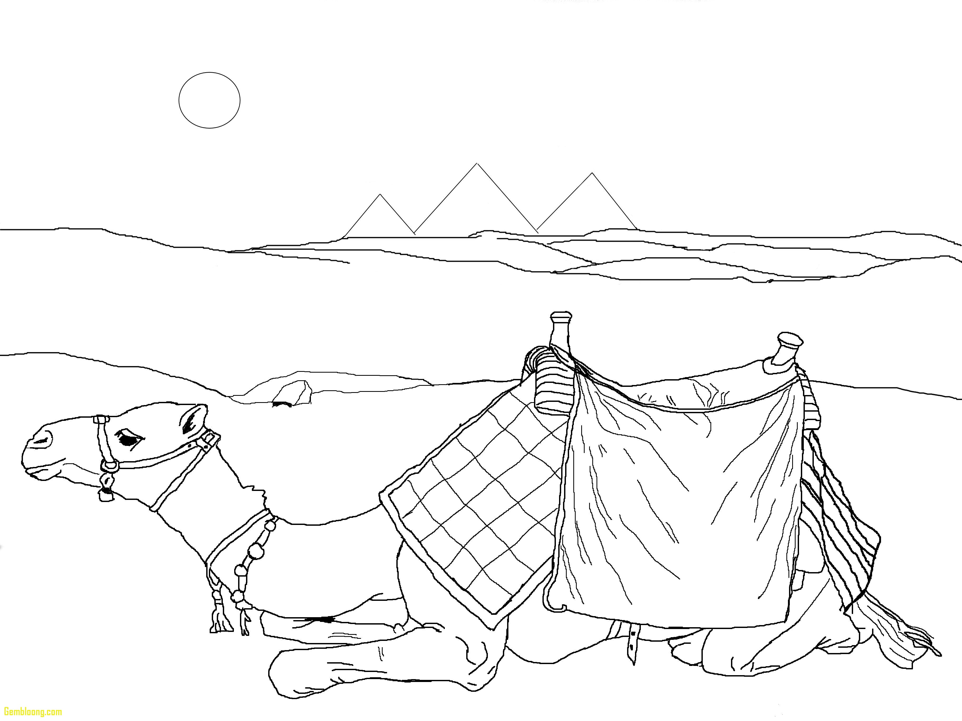 Free Printable Coloring Desert Pages About 3648x2736 Free Printable Coloring Desert Pages About