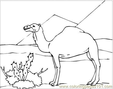 Camel In Desert Coloring Page Coloring Page 454x360 Camel In Desert Coloring Page Coloring Page