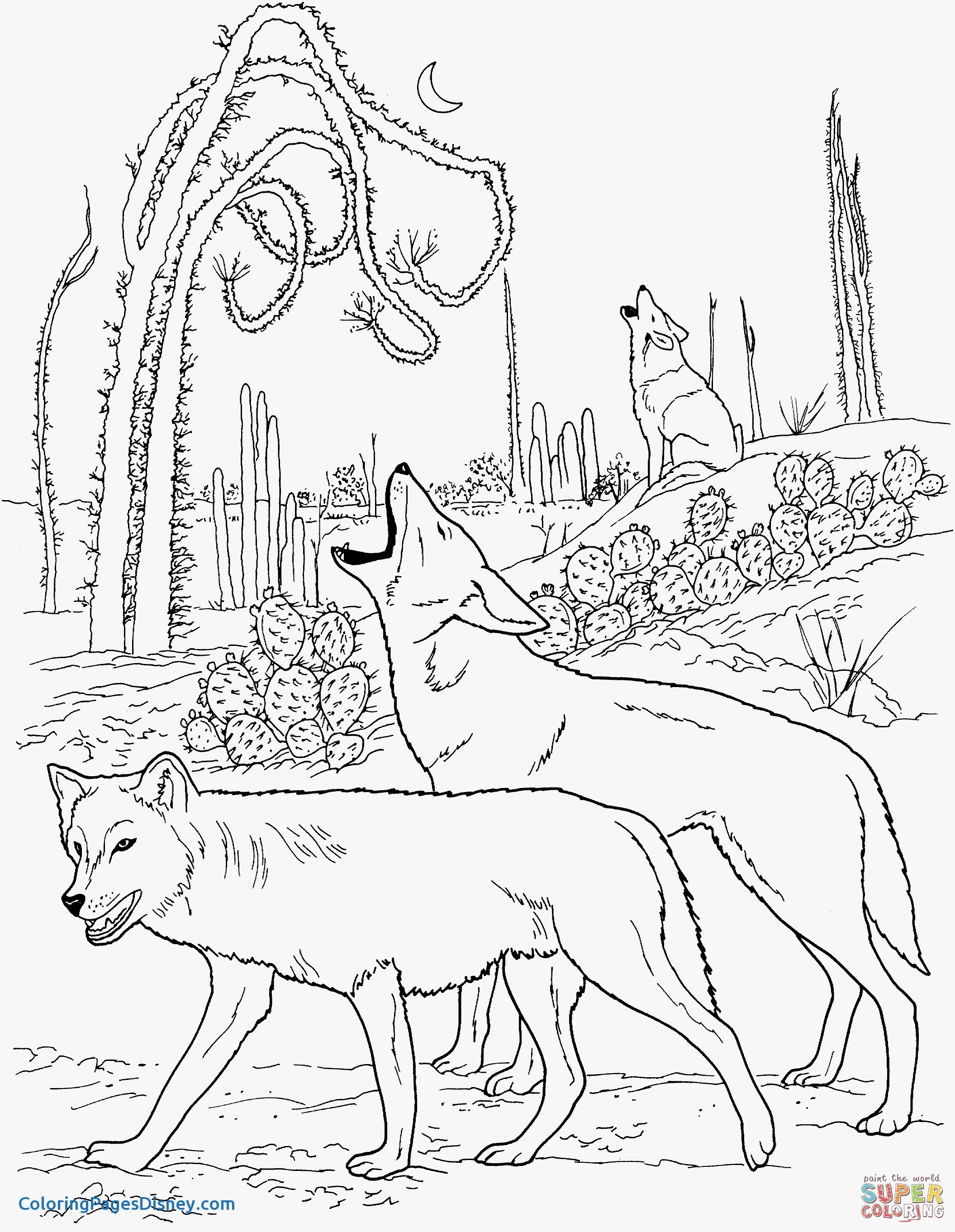 Coyote Coloring Pages Inspirational Coyotes Howling In Desert 2111x2722 Coyote Coloring Pages Inspirational Coyotes Howling In Desert