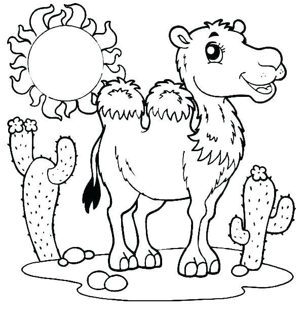 Desert Coloring Pages Wallaby Animal Coloring Pages Desert Animals 600x627 Desert Coloring Pages Wallaby Animal Coloring Pages Desert Animals