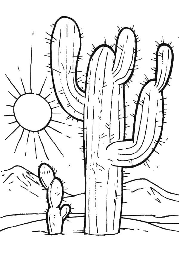 Desert Sunset Coloring Pages Cactus 600x852 Desert Sunset Coloring Pages Cactus