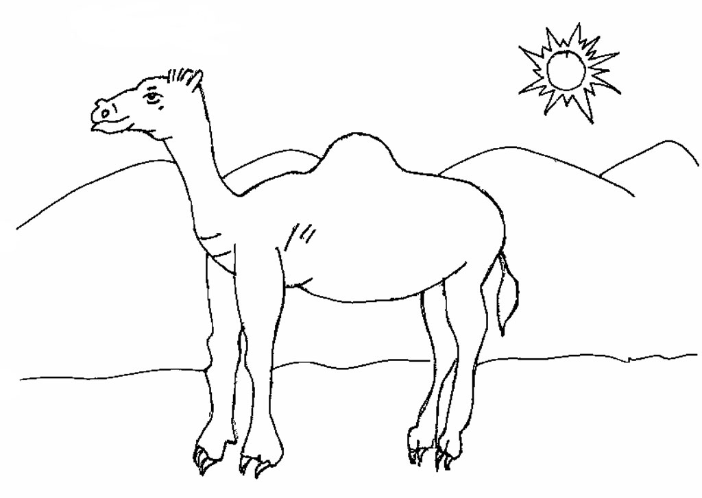 Camels Coloring Pages (9 Images) 1024x727 Camels Coloring Pages (9 Images)