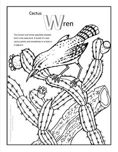 236x305 Desert Coloring Page Worksheets, Deserts And School