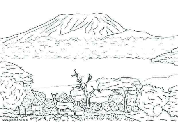 620x427 Desert Coloring Pages Desert Coloring Pages Desert Scorpion