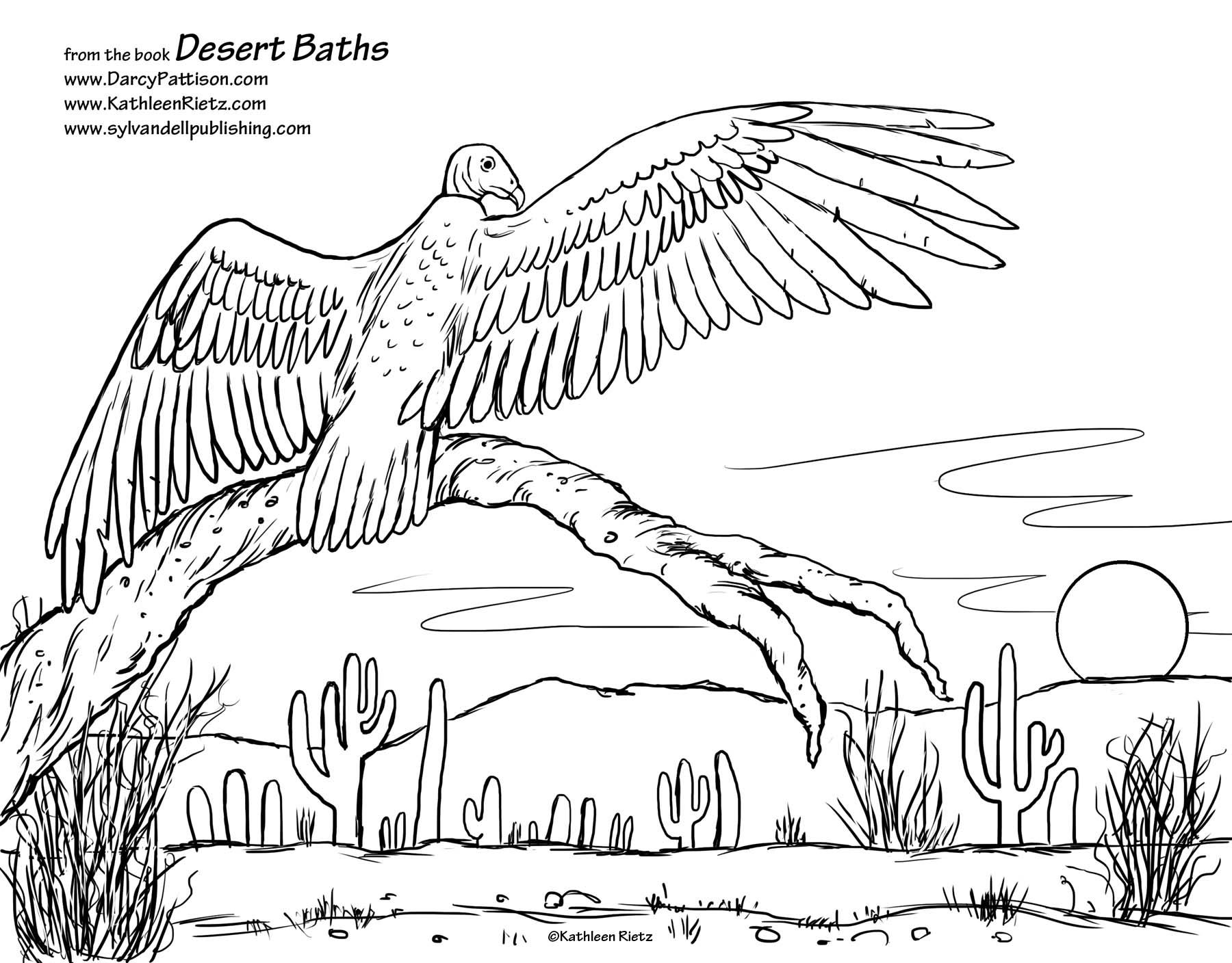 1800x1408 Street Art Coloring Pages Have You Ever Wondered How Desert