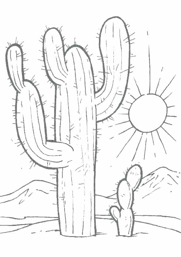 589x836 Desert Coloring Pages Printable
