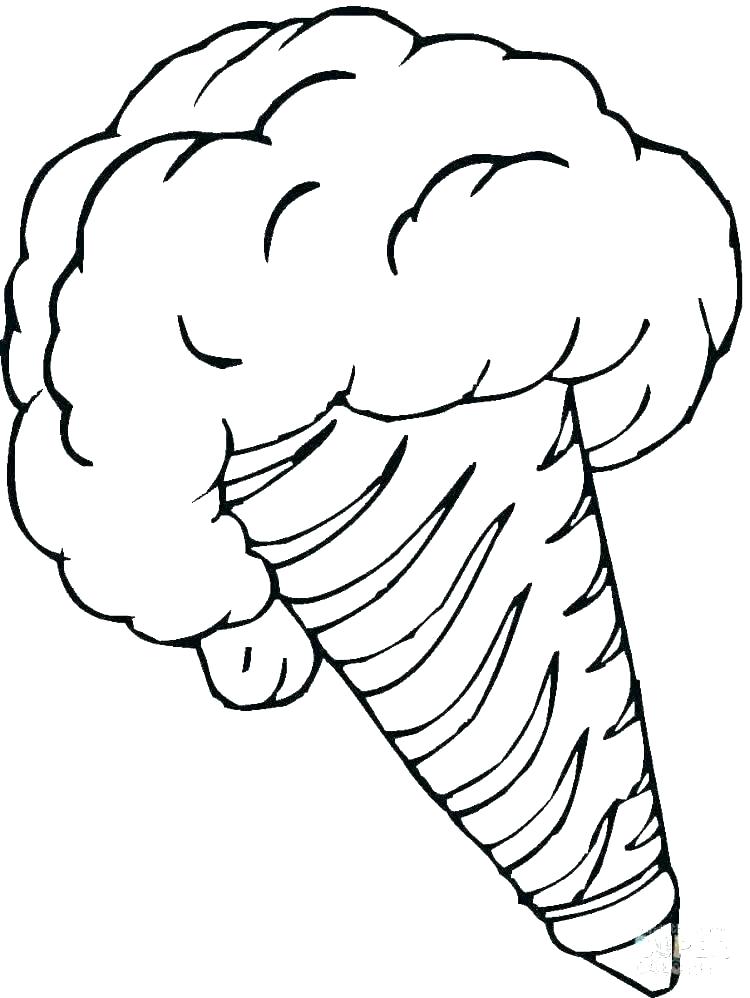 750x998 Desert Animal Colouring Pages Printable Coloring Desert Animal