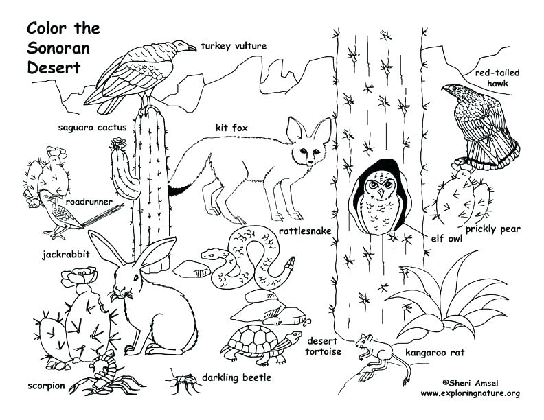 Printable Farm Coloring Pages Coloring Pages Printable Animals 792x612 Printable Farm Coloring Pages Coloring Pages Printable Animals