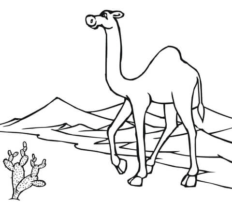 Camel On The Go Through Desert Coloring Page Free Printable Within 480x456 Camel On The Go Through Desert Coloring Page Free Printable Within