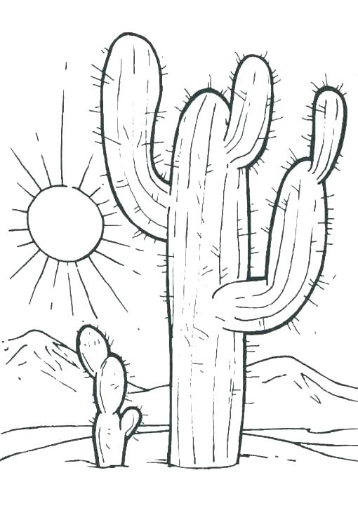 510x724 Desert Coloring Pages Desert Coloring Pages Desert Landscape