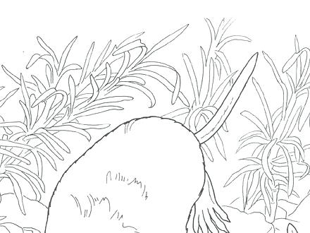 440x330 Unique Desert Coloring Pages For Desert Coloring Sheets Coloring