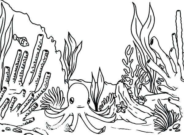 600x441 Plants Coloring Pages Ocean Plants Coloring Pages Amazing Coloring