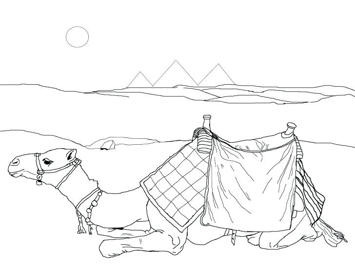 728x546 Desert Animals Coloring Pages Printable Printable Coloring
