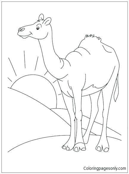 Desert Coloring Pictures Desert Coloring Pages Desert Deserts 433x582 Desert Coloring Pictures Desert Coloring Pages Desert Deserts