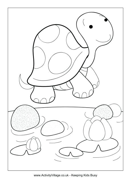 Desert Tortoise Coloring Page Colouring 460x650 Desert Tortoise Coloring Page Colouring