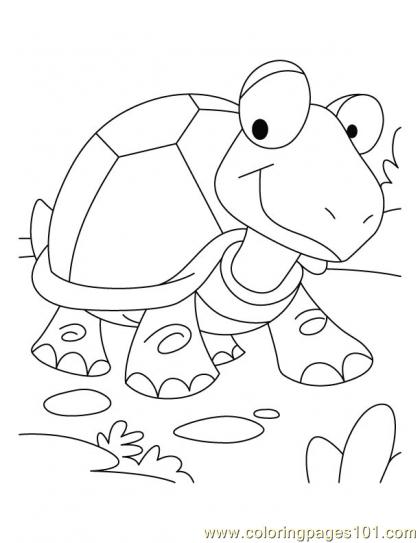 Tortoise Coloring Page4 Coloring Page 420x543 Tortoise Coloring Page4 Coloring Page