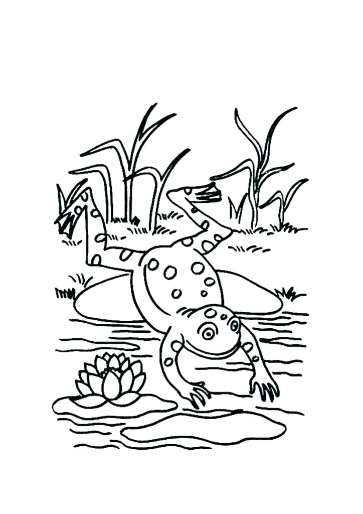 724x1024 Leap Frog Coloring Pages Leap Frog Coloring Pages Coloring Page
